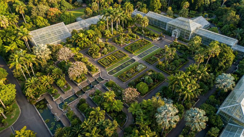 人兽植物园视频